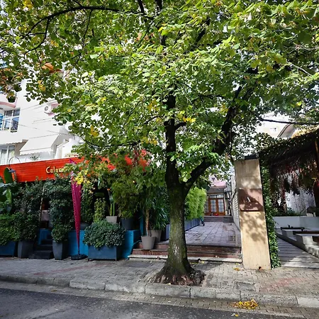 Noela's Place 公寓 地拉那
